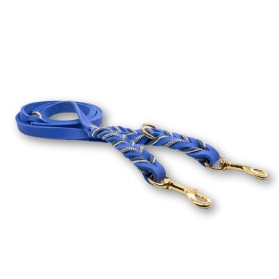 HealthyDog Lederleine "Danilo"