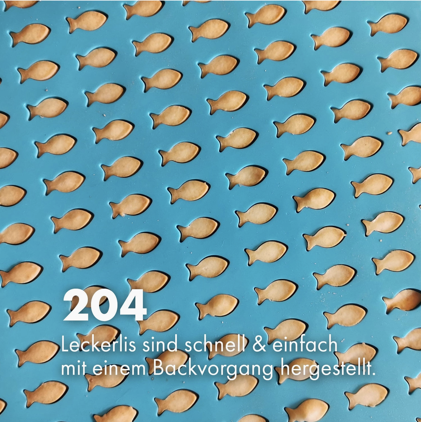 healthydog_produkte_collory_silikon_backform_fischli HealthyDog Collory Silikon Backform Fischli