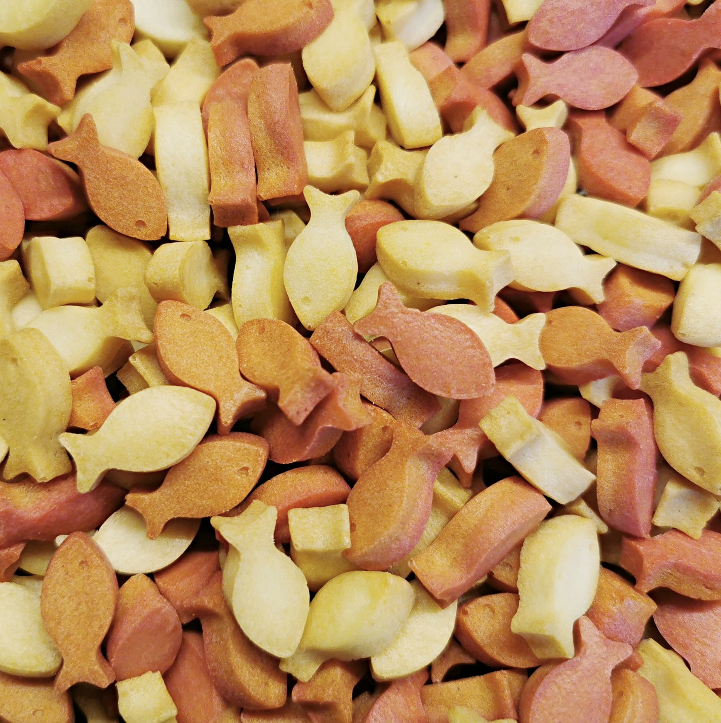 healthydog_produkte_collory_silikon_backform_fischli HealthyDog Collory Silikon Backform Fischli