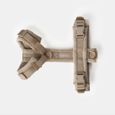 HealthyDog Furlou Y-Hundegeschirr Samt "sand"