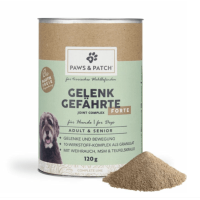 HealthyDog Paws & Patch Gelenk Gefährte forte adult & senior
