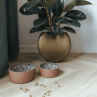 HealthyDog AVA Keramik Hundenapf "Jag"