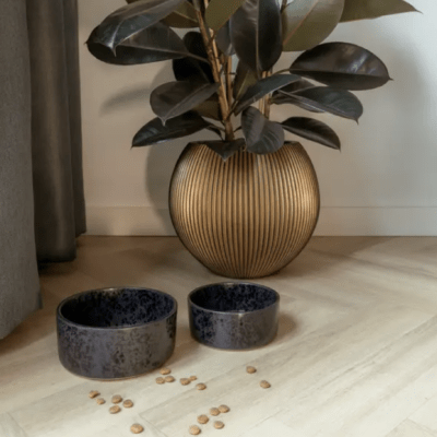 HealthyDog AVA Keramik Hundenapf "Wolf"