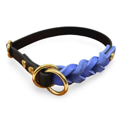 HealthyDog Biothane Halsband mit Leder "schwarz"