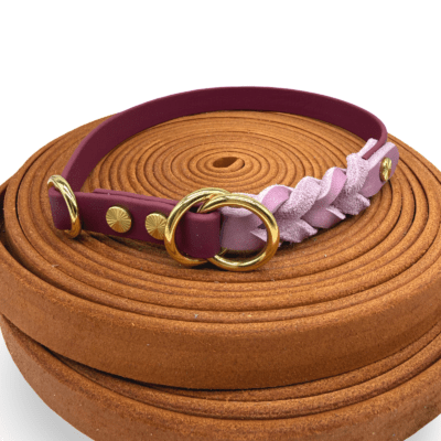 HealthyDog Biothane Halsband mit Leder "bordeaux"