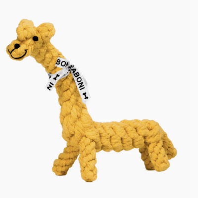 HealthyDog Laboni Gretchen Giraffe
