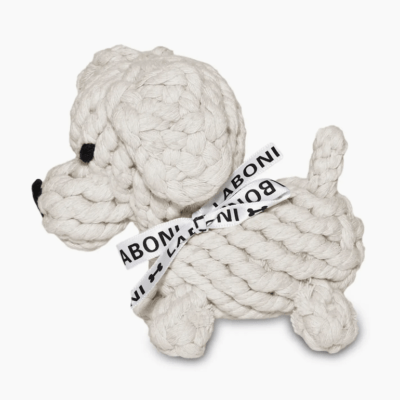 HealthyDog Laboni Tapsi - der kleine Herzensbrecher