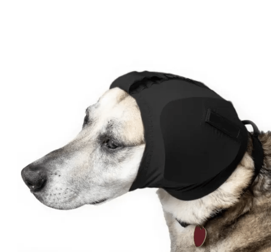 healthydog_produkte_rex_specs_gehörschutz HealthyDog Rex Specs Gehörschutz