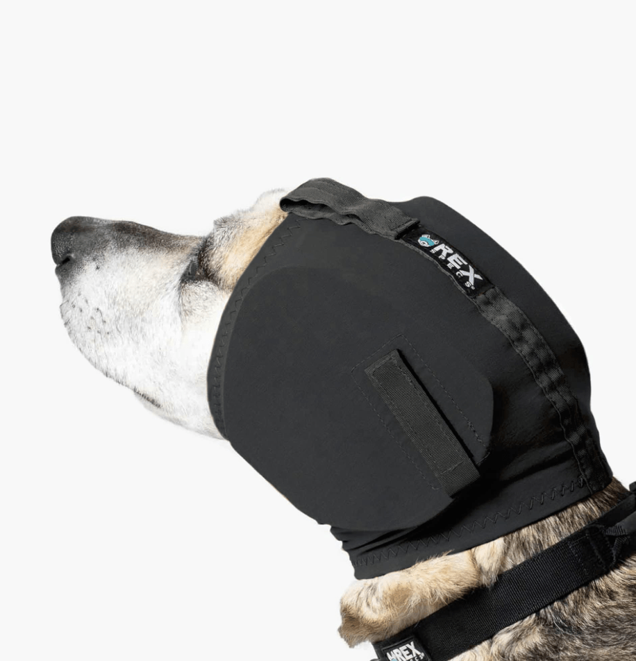 healthydog_produkte_rex_specs_gehörschutz HealthyDog Rex Specs Gehörschutz