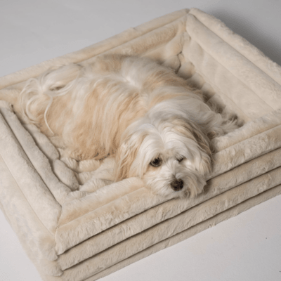 HealthyDog ammi for Dogs Kuschelbezug soft beige