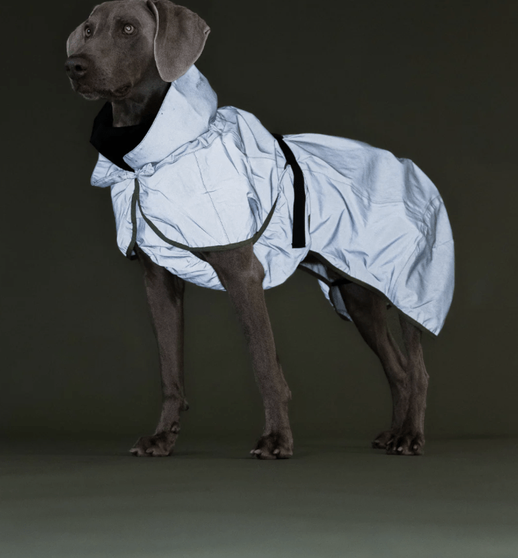 healthydog_produkte_paikka_regenmantel_grün_reflektierend HealthyDog PAIKKA Regenmantel grün reflektierend