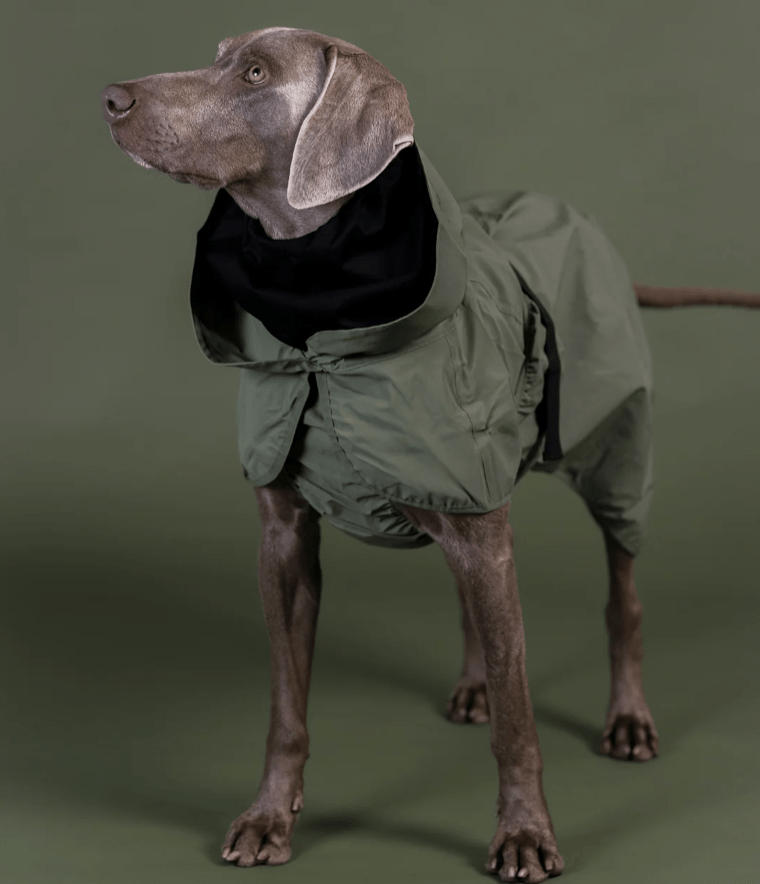 healthydog_produkte_paikka_regenmantel_grün_reflektierend HealthyDog PAIKKA Regenmantel grün reflektierend